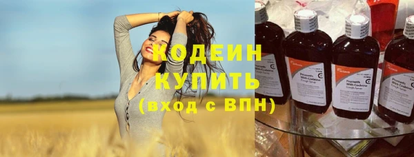 дмт Тында
