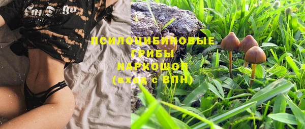 винт Верея