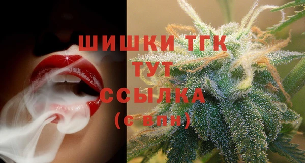винт Верея