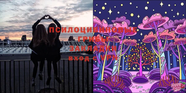 дмт Верхний Тагил