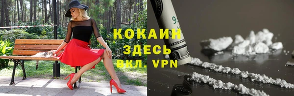 винт Верея