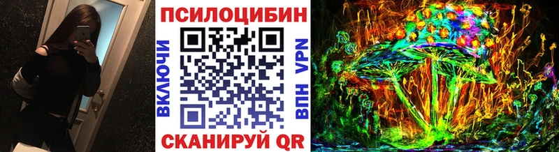 Псилоцибиновые грибы мухоморы купить закладку Данков